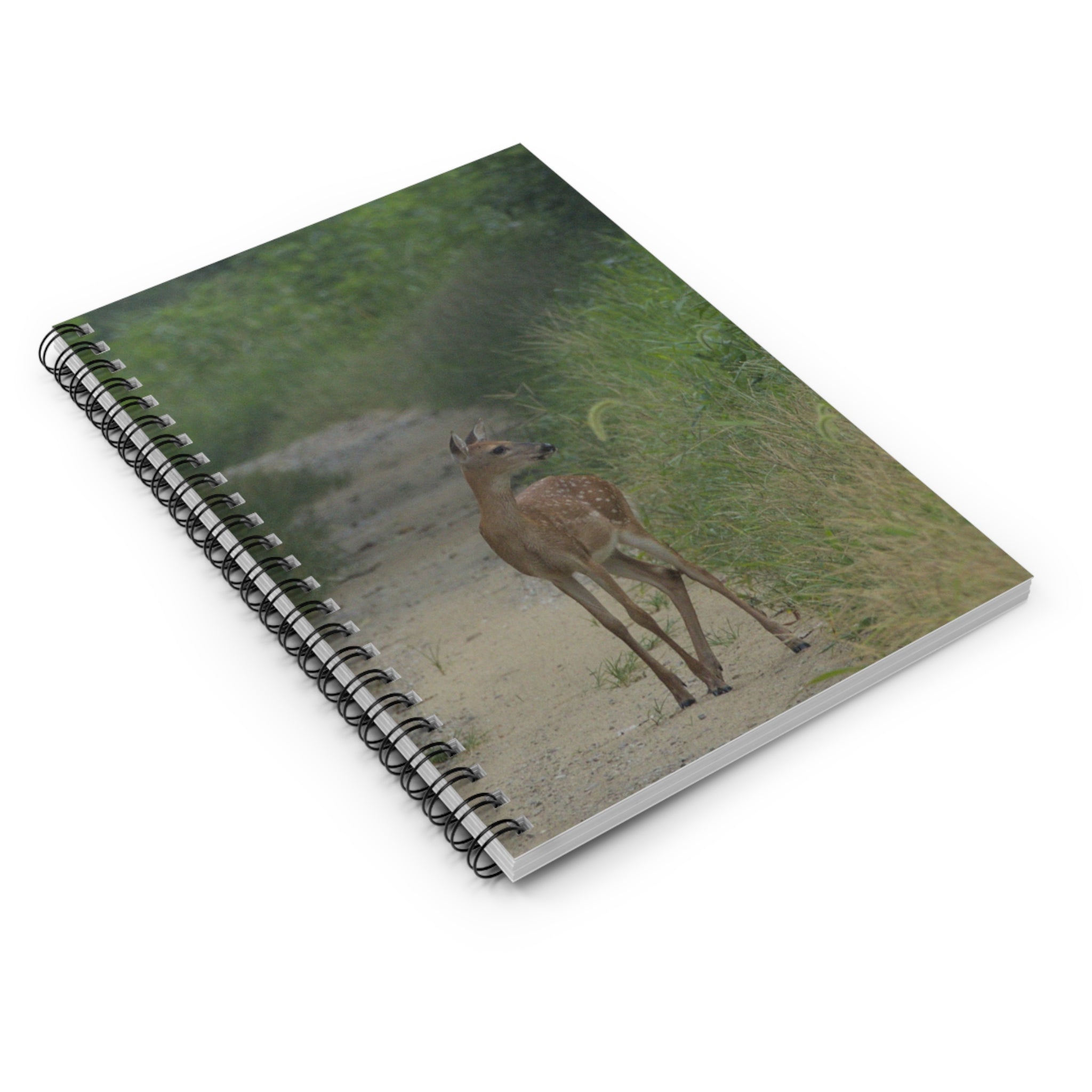 Fawn on a Dirt Path Spiral Notebook -- Nature Design -- Ruled Line Journal -- Nature Lovers -- Woodland Theme -- Planner -- Wildlife -- Deer Stationery
