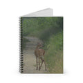 Fawn on a Dirt Path Spiral Notebook -- Nature Design -- Ruled Line Journal -- Nature Lovers -- Woodland Theme -- Planner -- Wildlife -- Deer Stationery