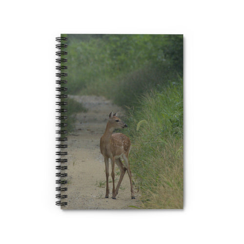 Fawn on a Dirt Path Spiral Notebook -- Nature Design -- Ruled Line Journal -- Nature Lovers -- Woodland Theme -- Planner -- Wildlife -- Deer Stationery